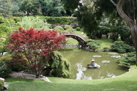 japanese garden